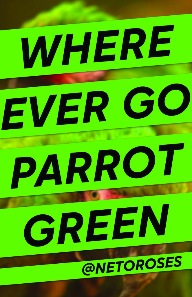 WHERE EVER GO PARROT GREEN